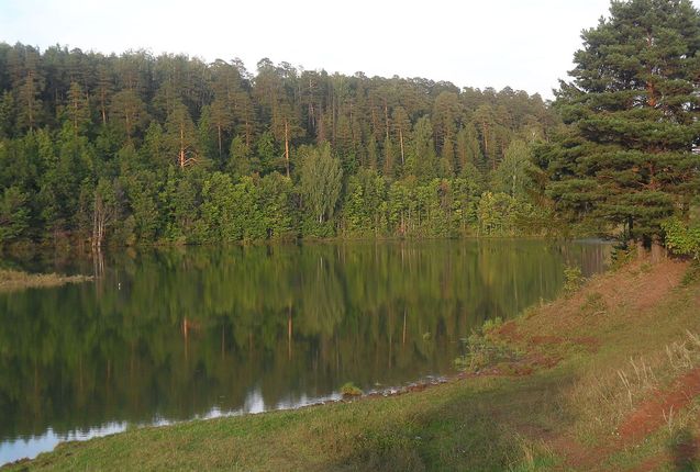 Алексей Мальцев: время назначенцев-мэров – потерянное время для Кирова